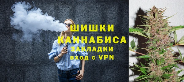 винт Горно-Алтайск