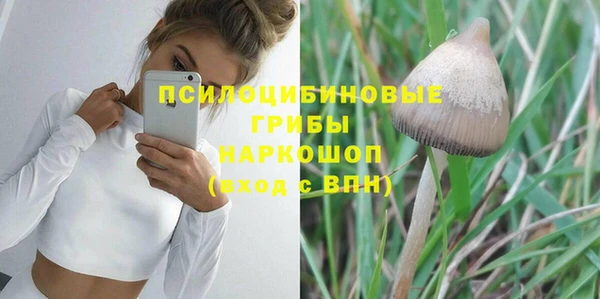 винт Горно-Алтайск