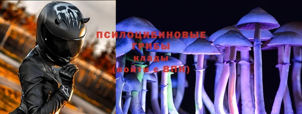 соль ск Горнозаводск