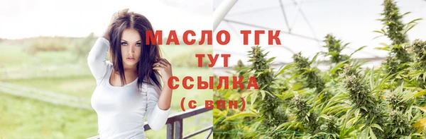 ECSTASY Горняк