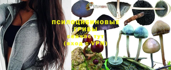 мескалин Волоколамск